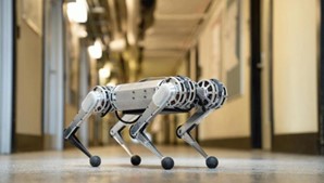 Mini Cheetah AI Autonomous Robot